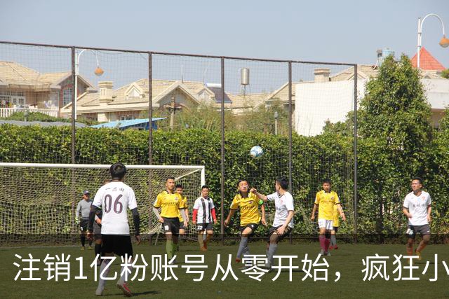 注销1亿粉账号从零开始，疯狂小杨哥摸着东方甄选过河？
